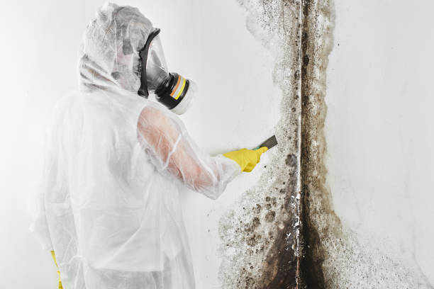 Best Mold Testing  in Middletown, DE