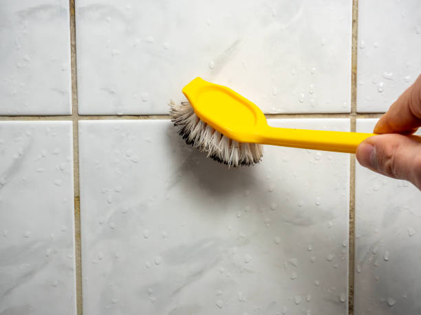 Best Attic Mold Removal  in Middletown, DE