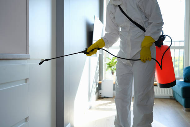 Best Home Mold Removal  in Middletown, DE