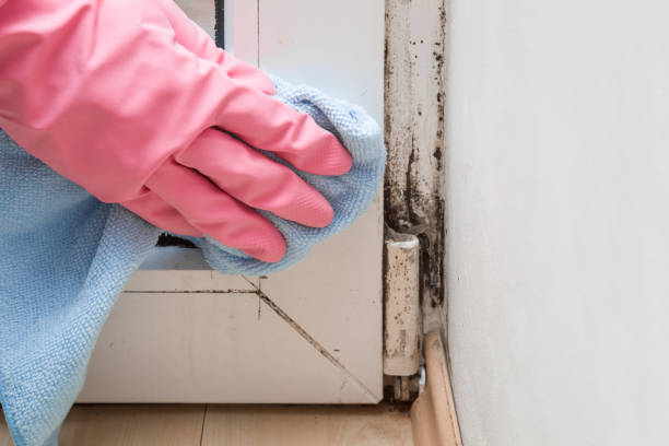 Crawl Space Mold Removal in Middletown, DE